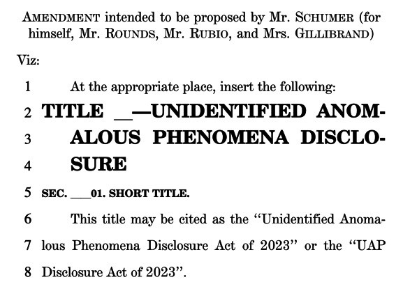 Heading of the Amendment